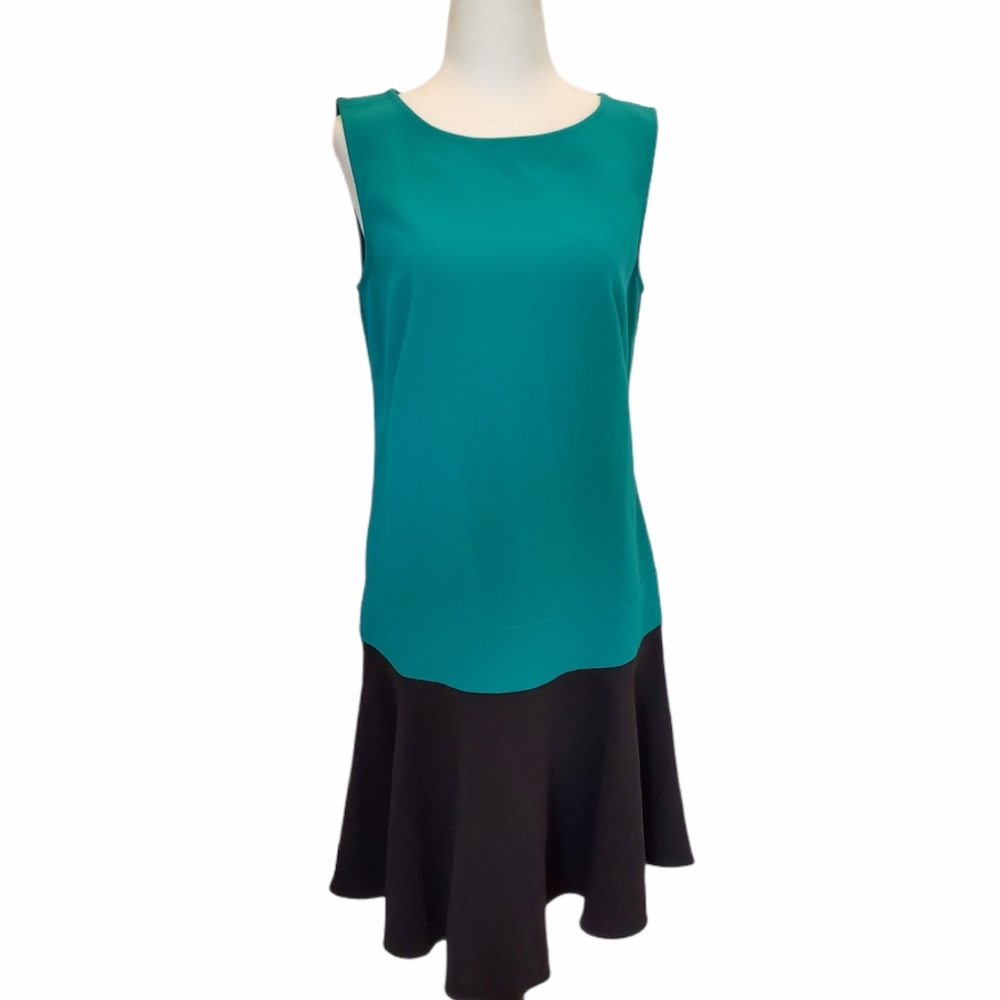 Ann Taylor LOFT dress VIC0006